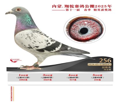 內(nèi)蒙古翔悅決賽256名