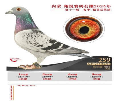 內(nèi)蒙古翔悅決賽259名