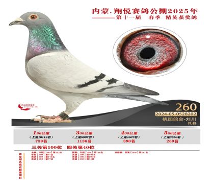 內(nèi)蒙古翔悅決賽260名