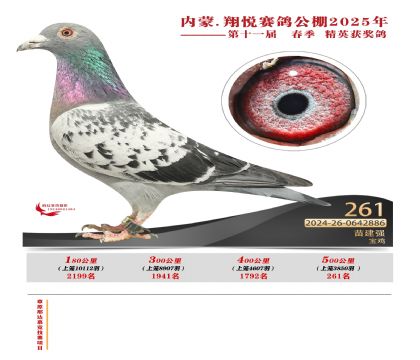 內(nèi)蒙古翔悅決賽261名