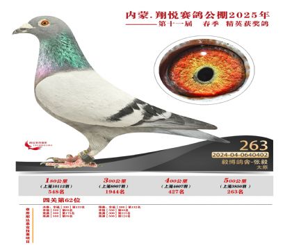 內(nèi)蒙古翔悅決賽263名