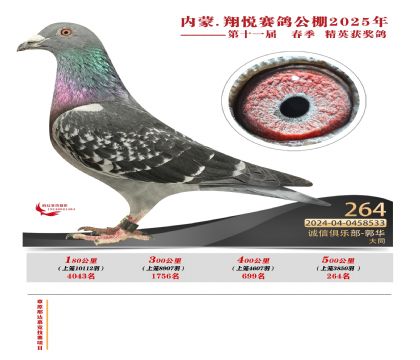 內(nèi)蒙古翔悅決賽264名