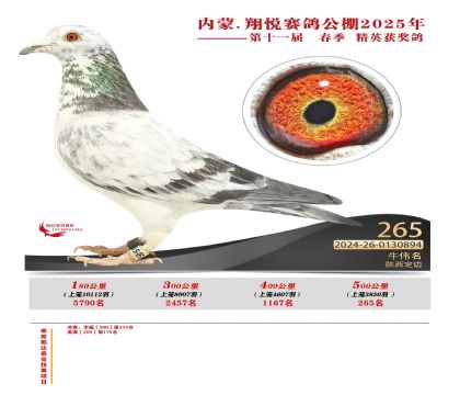 內(nèi)蒙古翔悅決賽265名