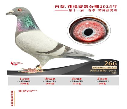 內(nèi)蒙古翔悅決賽266名