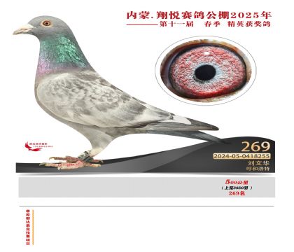 內(nèi)蒙古翔悅決賽269名