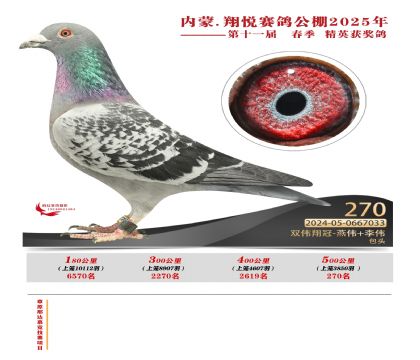 內(nèi)蒙古翔悅決賽270名