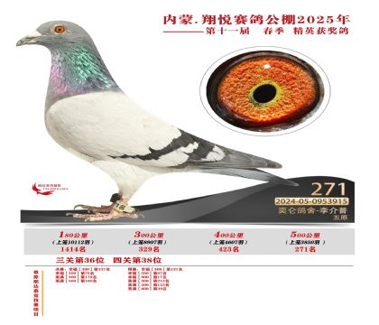 內(nèi)蒙古翔悅決賽271名