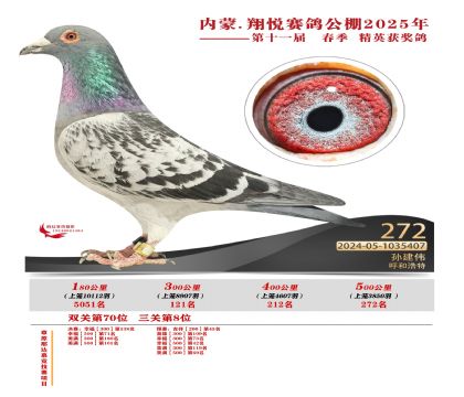 內(nèi)蒙古翔悅決賽272名