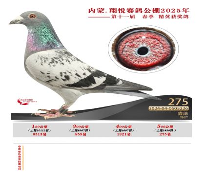 內(nèi)蒙古翔悅決賽275名