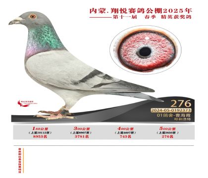 內(nèi)蒙古翔悅決賽276名