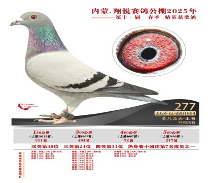 內(nèi)蒙古翔悅決賽277名