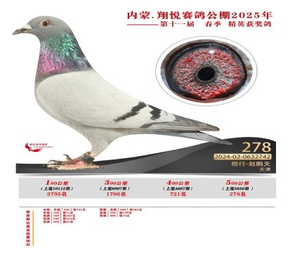 內(nèi)蒙古翔悅決賽278名
