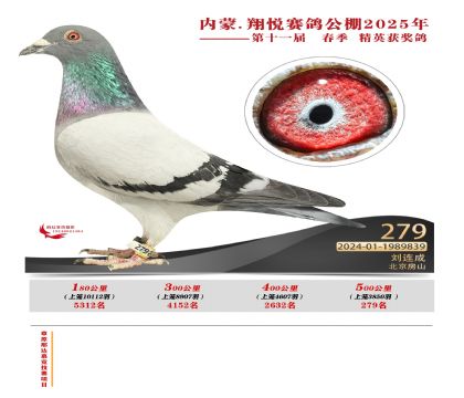 內(nèi)蒙古翔悅決賽279名