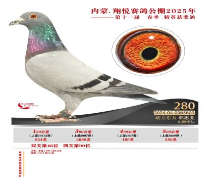 內(nèi)蒙古翔悅決賽280名