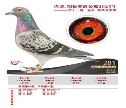 內(nèi)蒙古翔悅決賽281名