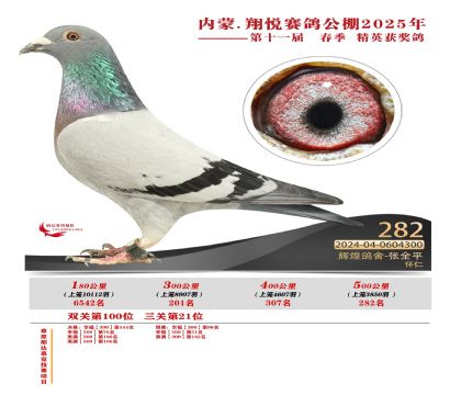 內(nèi)蒙古翔悅決賽282名