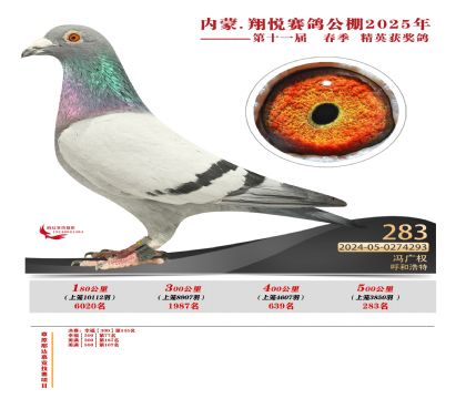 內(nèi)蒙古翔悅決賽283名