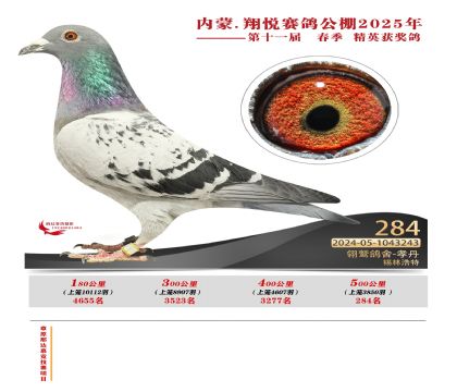 內(nèi)蒙古翔悅決賽284名