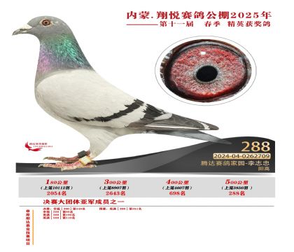 內(nèi)蒙古翔悅決賽288名
