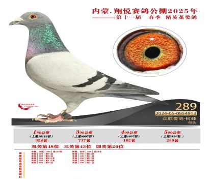 內(nèi)蒙古翔悅決賽289名