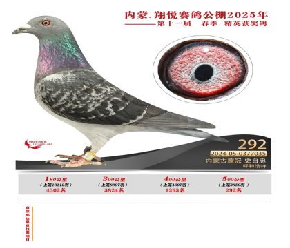 內(nèi)蒙古翔悅決賽292名
