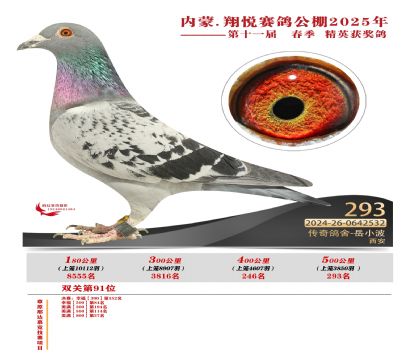 內(nèi)蒙古翔悅決賽293名