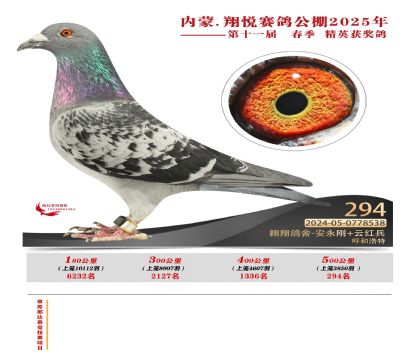 內(nèi)蒙古翔悅決賽294名