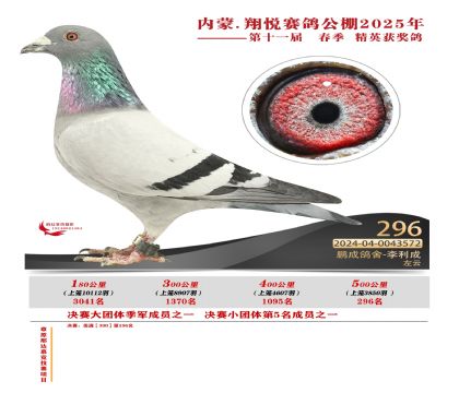 內(nèi)蒙古翔悅決賽296名