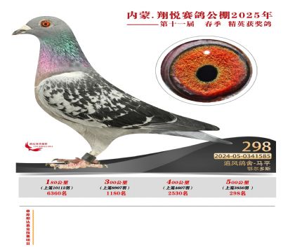 內(nèi)蒙古翔悅決賽298名