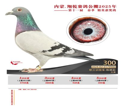 內(nèi)蒙古翔悅決賽300名