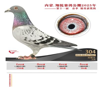 內(nèi)蒙古翔悅決賽304名