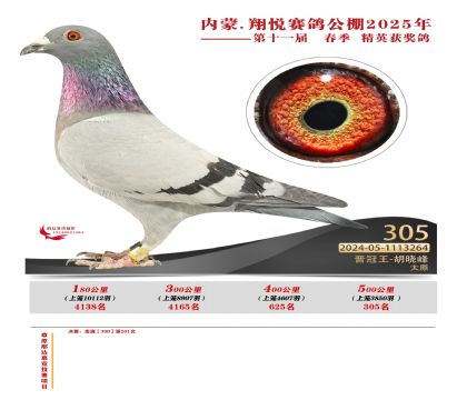 內(nèi)蒙古翔悅決賽305名
