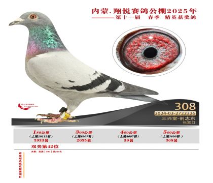 內(nèi)蒙古翔悅決賽308名