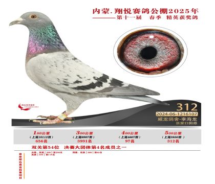 內(nèi)蒙古翔悅決賽312名