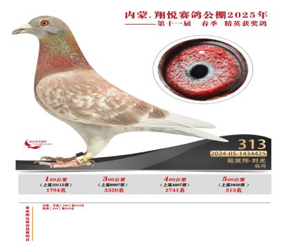 內(nèi)蒙古翔悅決賽313名