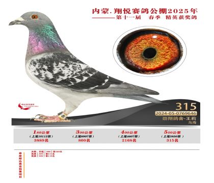內(nèi)蒙古翔悅決賽315名
