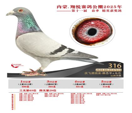 內(nèi)蒙古翔悅決賽316名