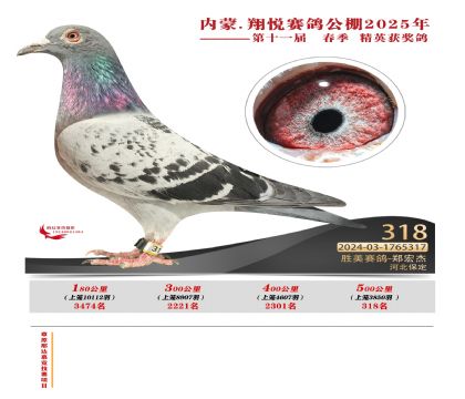 內(nèi)蒙古翔悅決賽318名