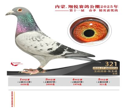 內(nèi)蒙古翔悅決賽321名