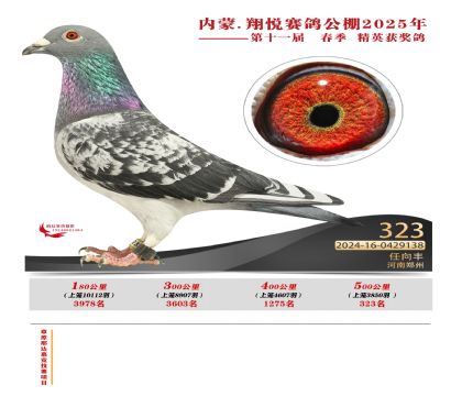 內(nèi)蒙古翔悅決賽323名
