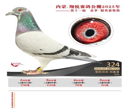 內(nèi)蒙古翔悅決賽324名