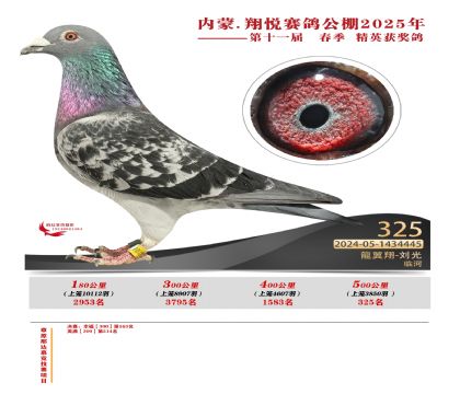 內(nèi)蒙古翔悅決賽325名