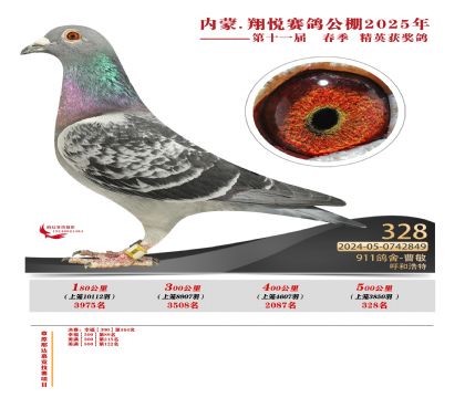 內(nèi)蒙古翔悅決賽328名