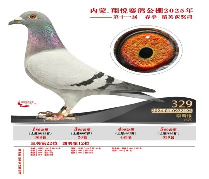 內(nèi)蒙古翔悅決賽329名