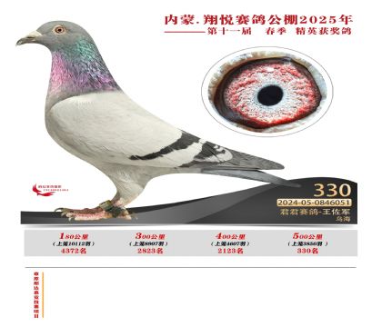 內(nèi)蒙古翔悅決賽330名