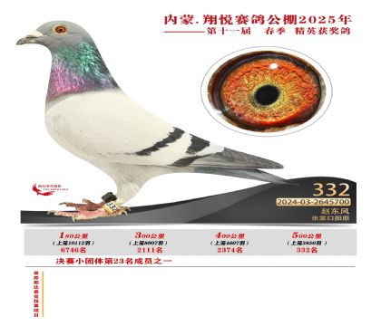 內(nèi)蒙古翔悅決賽332名