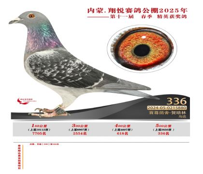 內(nèi)蒙古翔悅決賽336名