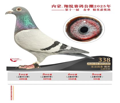 內(nèi)蒙古翔悅決賽338名