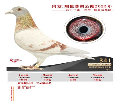 內(nèi)蒙古翔悅決賽341名