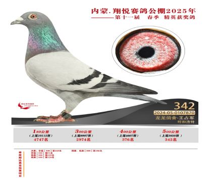 內(nèi)蒙古翔悅決賽342名